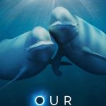 دانلود مستند اقیانوس های ما Our Oceans