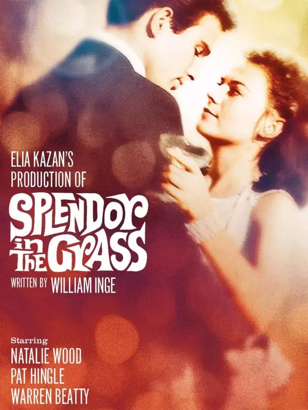 دانلود فیلم شکوه علفزار Splendor in the Grass 1961