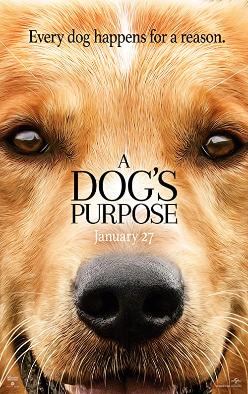 دانلود فیلم هدف یک سگ A Dog’s Purpose 2017