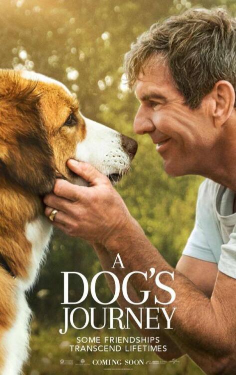 دانلود فیلم سفر یک سگ A Dogs Journey 2019