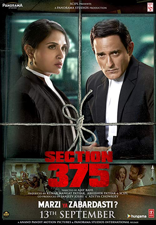دانلود فیلم بخش سیصد و هفتاد و پنج Section 375 2019