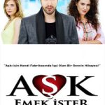 دانلود سریال عشق زحمت میخواد Ask Emek Ister 2013