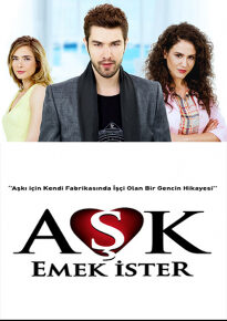 دانلود سریال عشق زحمت میخواد Ask Emek Ister 2013